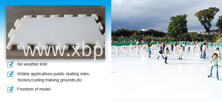 Synthetic Ice Rink Panel
